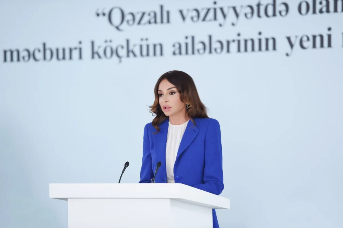 Birinci vitse-prezident: Azərbaycan bu gün inkişaf və tərəqqi yolu ilə gedir