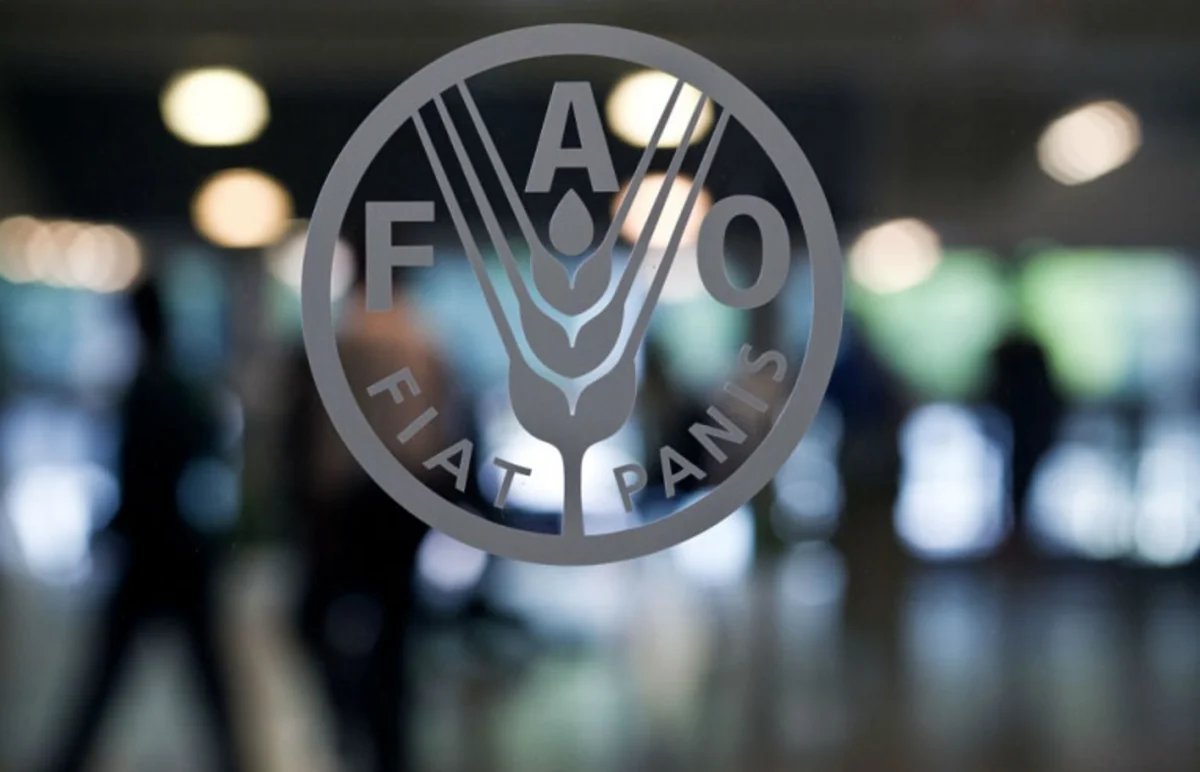 FAO: Global food prices fall for 6 consecutive months
