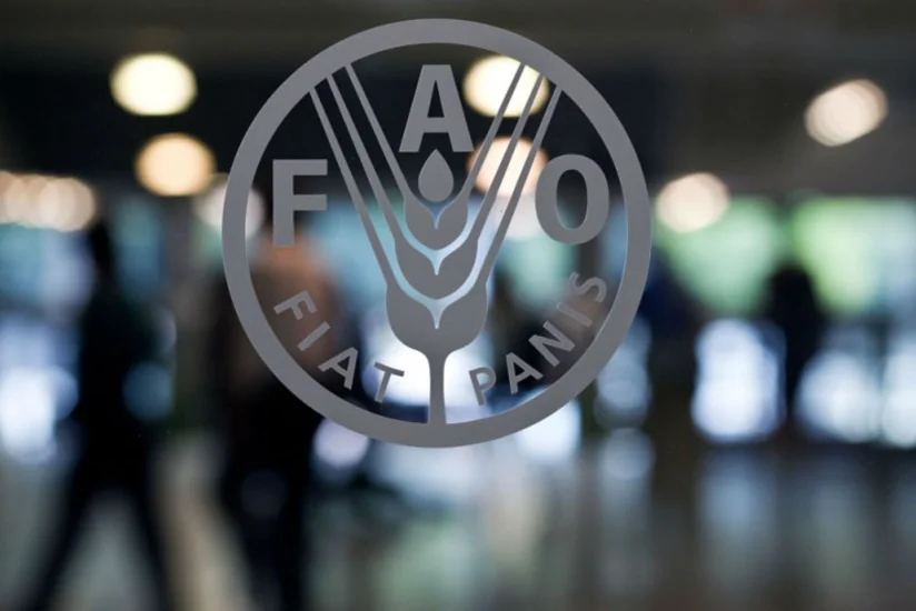 FAO: Global food prices fall for 6 consecutive months