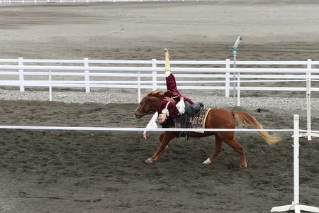 President Ilham Aliyev attends opening of Qarabag Equestrian Complex