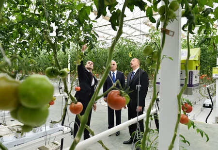 Prezident İlham Əliyev Zirə qəsəbəsində “BAKU AGROPARK”da görülən işlərlə tanış olub