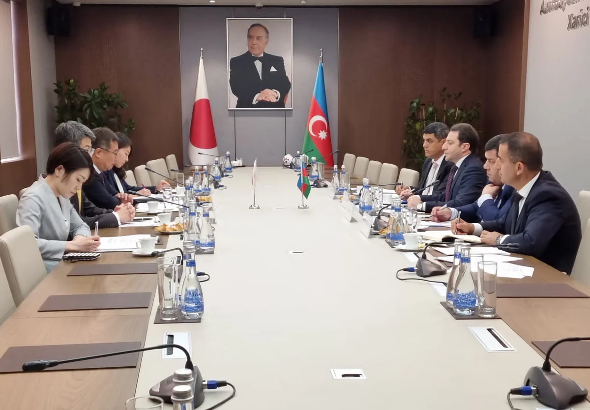 Political consultations held between Foreign Ministries of Azerbaijan and Japan