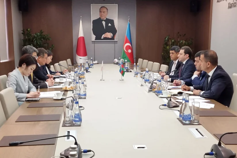 МИД Азербайджана и Японии провели политические консультации