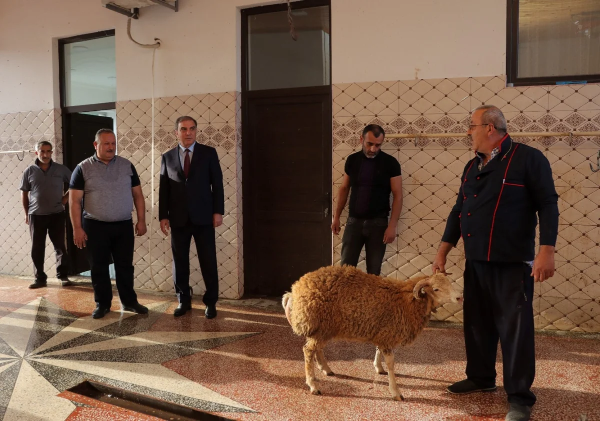 Gəncədə Qurban bayramında heyvan satışı və kəsimi məntəqələrində yoxlama aparılıb