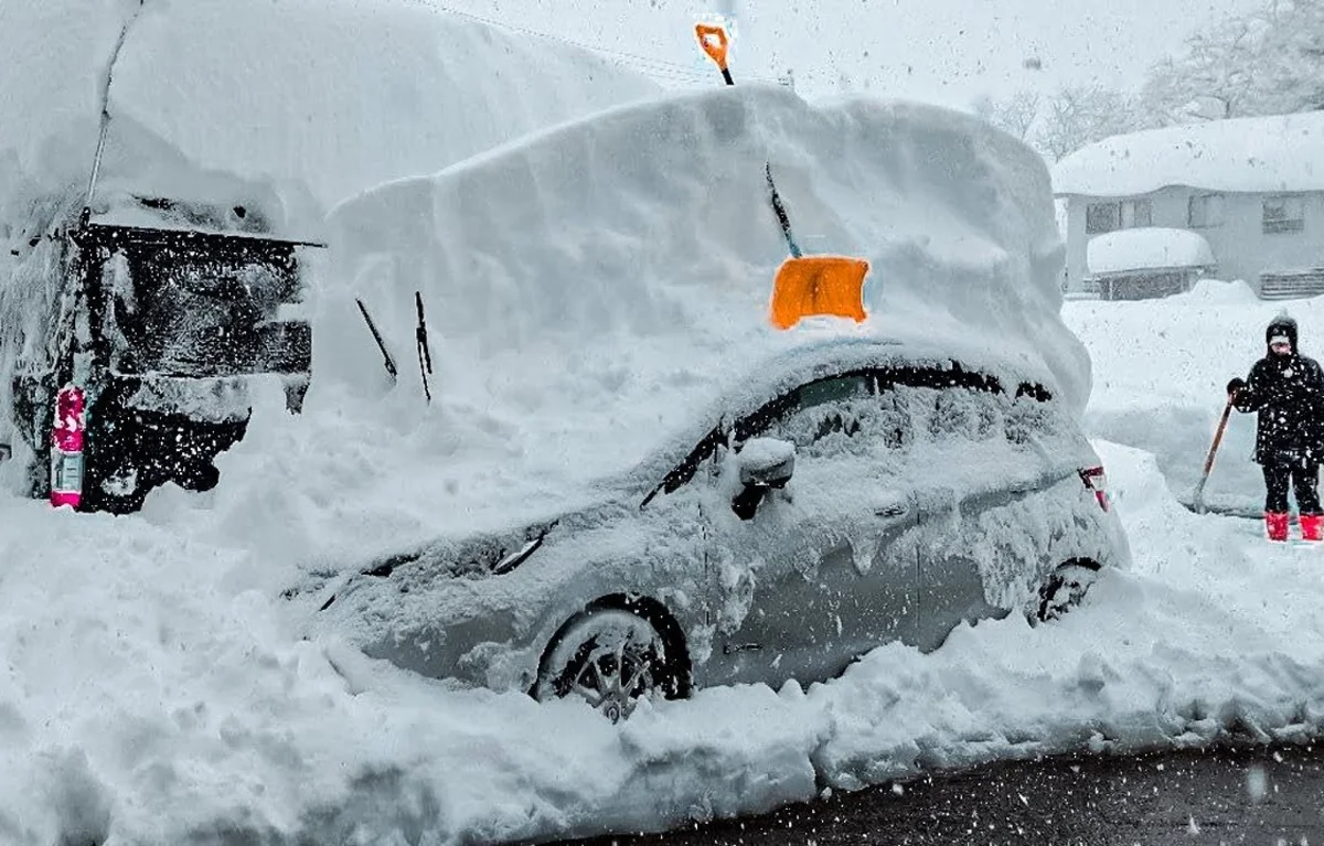 Heavy snow batters Japan, disrupting rail and air traffic