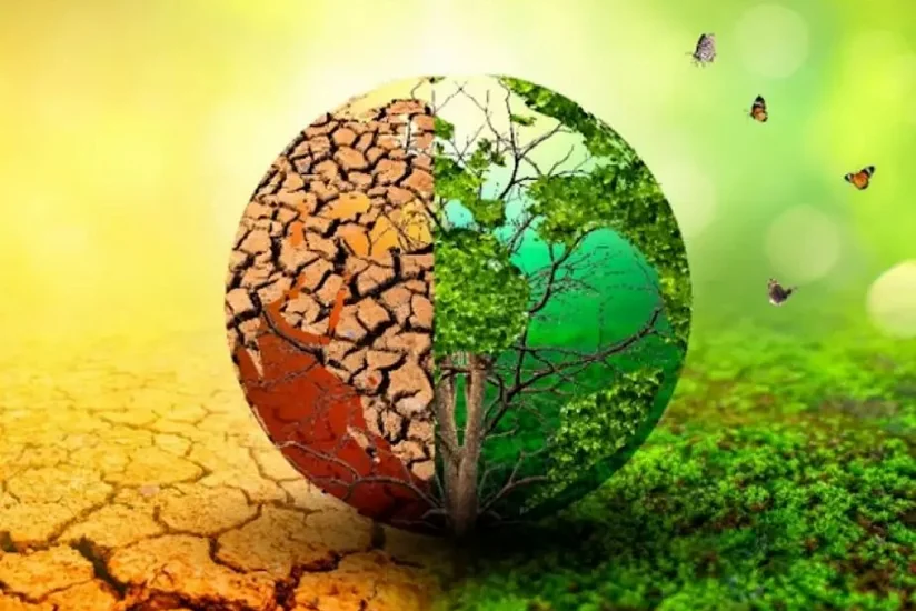 ADB rəsmisi: İqlim dəyişikliyinə qarşı mübarizədə maliyyə nazirlikləri ilə əməkdaşlıq vacibdir