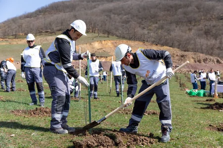 “Ağyoxuş-1” qızıl yatağı yaxınlığında növbəti ağacəkmə aksiyası keçirilib