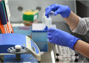 Scientists estimate infectivity of gamma variant of COVID among vaccinated