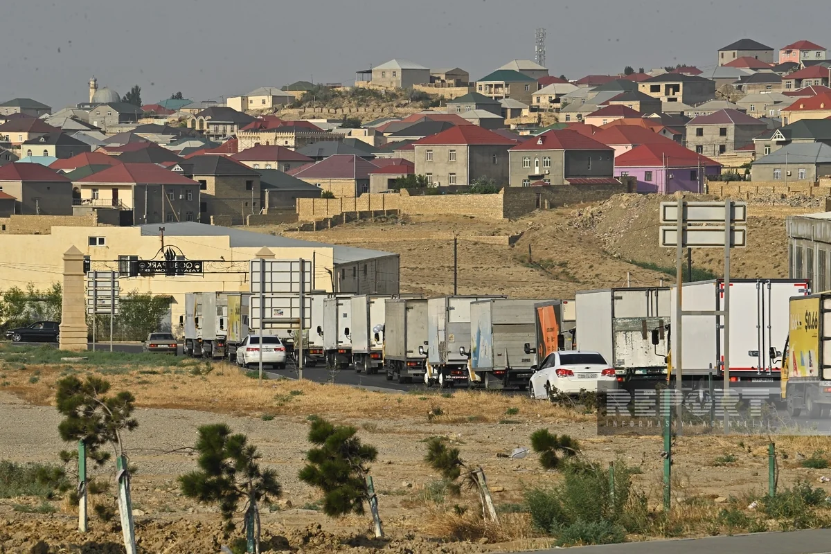 Laçına növbəti köç başlayıb