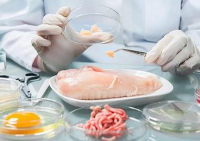 Azərbaycanda tibb, təhsil və sosial müəssisələrdəki şəxslərin qida normaları yenidən müəyyən ediləcək