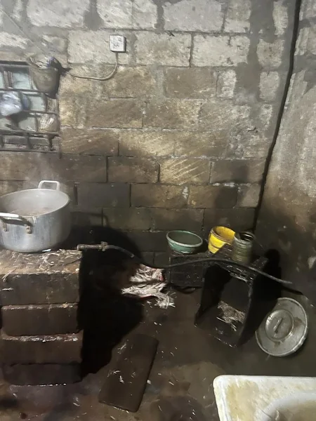 Masallıda toyuq kəsim sexinin işi məhdudlaşdırılıb