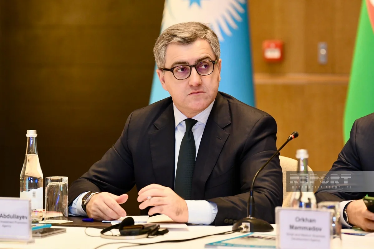AZPROMO: Turkic states should boost exports, mutual investments