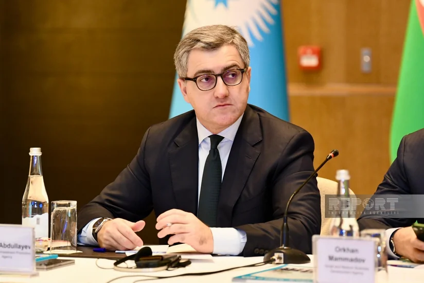AZPROMO: Turkic states should boost exports, mutual investments
