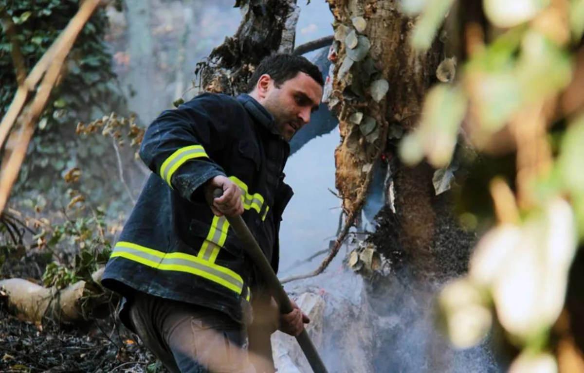 Georgia fighting to contain forest fire lasting for already two days