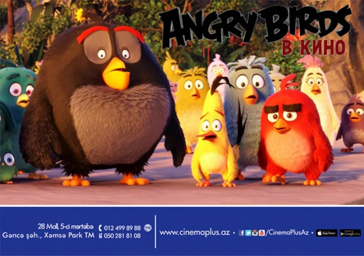 ​Легендарная мобильная игра Angry Birds в кино на экранах CinemaPlus - ВИДЕО