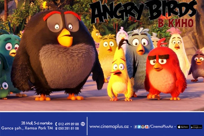 ​Легендарная мобильная игра Angry Birds в кино на экранах CinemaPlus - ВИДЕО