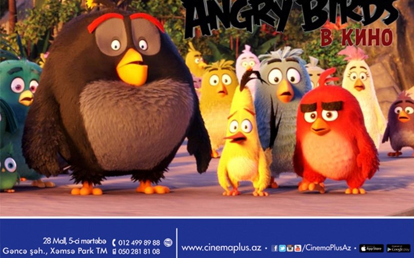 CinemaPlusda əfsanəvi mobil oyun Angry Birds kinoda cizgi filminin nümayişinə başlanıb - VİDEO