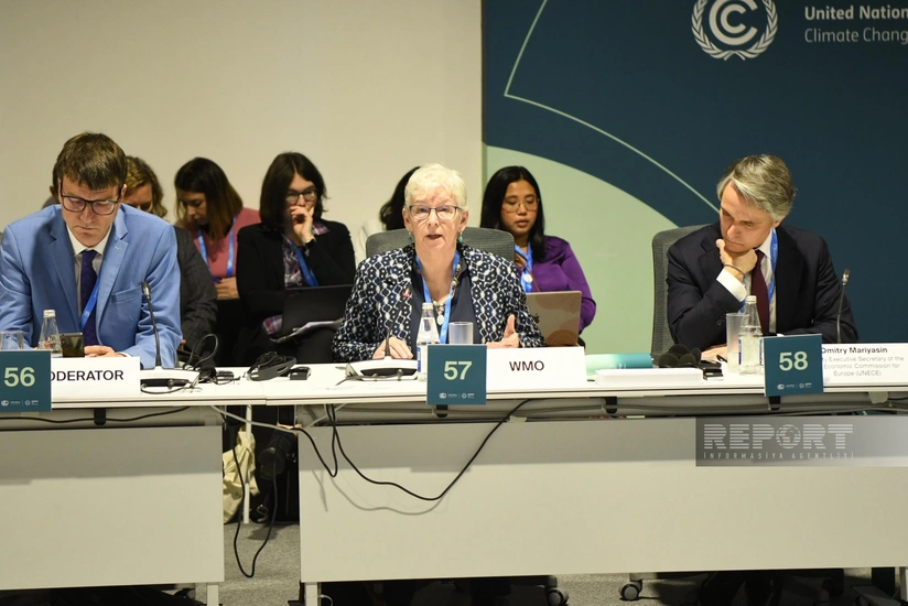 Ko Barret: Dünyanın buzlaqları son 50 illik müşahidə dövründə ən böyük kütlə itkisini yaşayıb