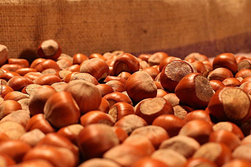 Azerbaijan imports 44 tons of hazelnuts from Georgia