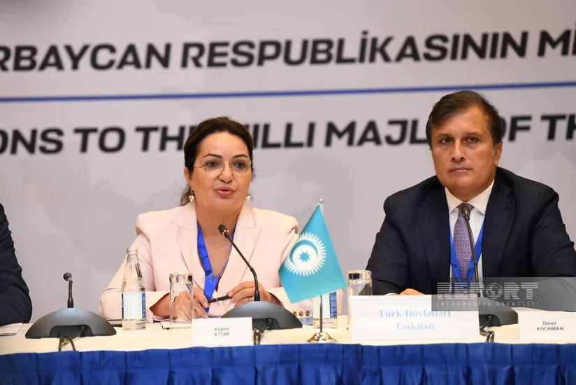 Aygün Attar: Parlament seçkilərində qadın namizədlərin sayının çoxluğu təqdirəlayiq haldır