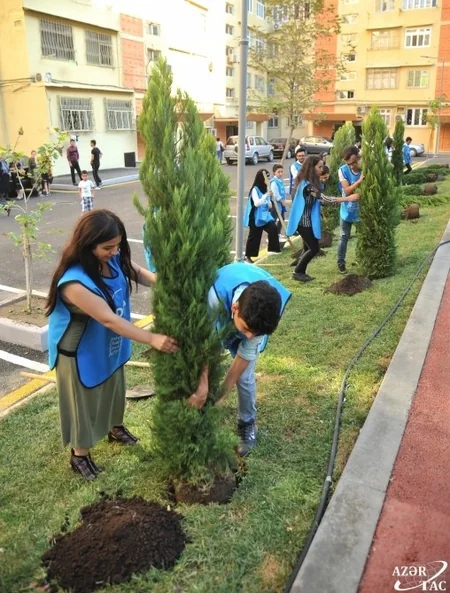 “Bizim həyət” layihəsi çərçivəsində Bakıda daha bir həyət abadlaşdırılıb