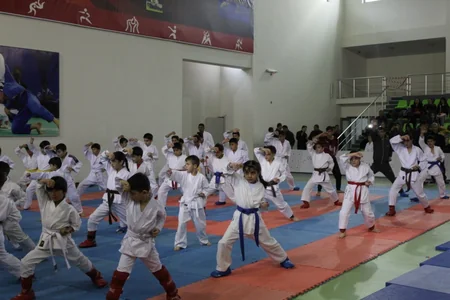Şəkidə “9 noyabr - Bayraq Günü” münasibətilə İdman festivalı keçirilib