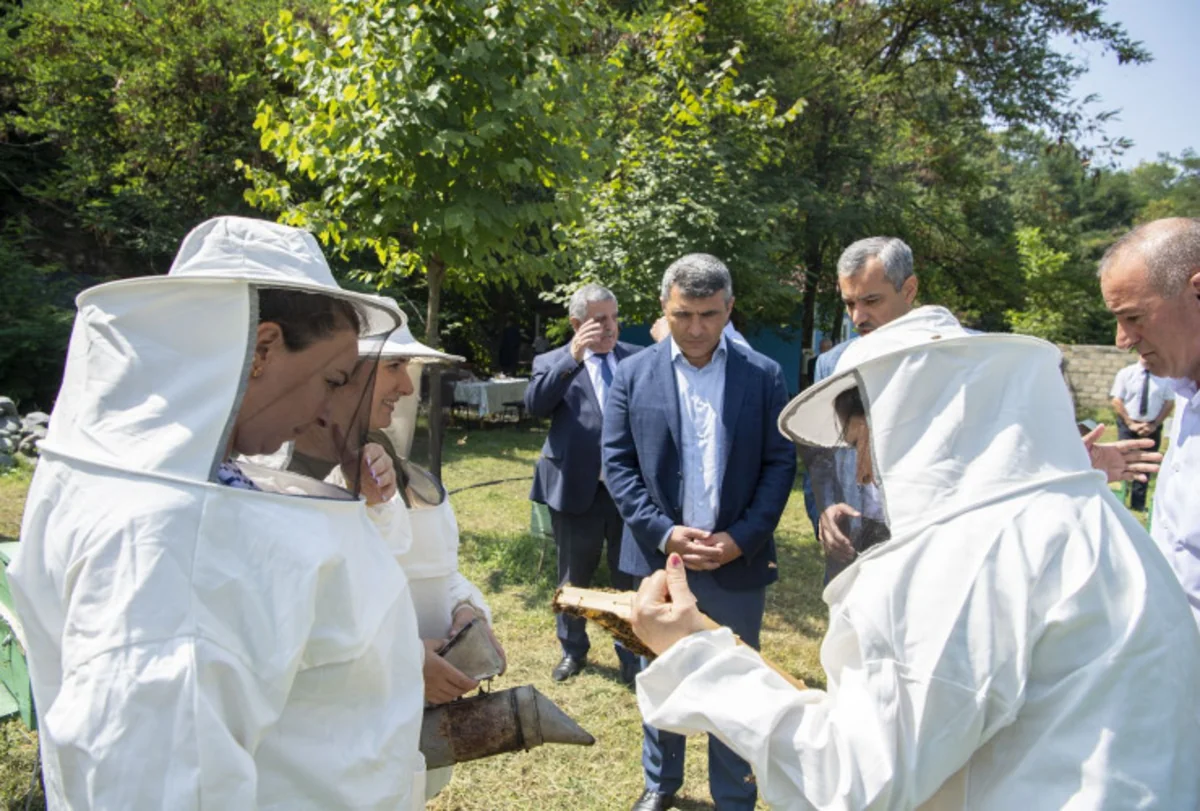 İnam Kərimov: Bu il tütünçülükdə məhsuldarlıq çox olacaq