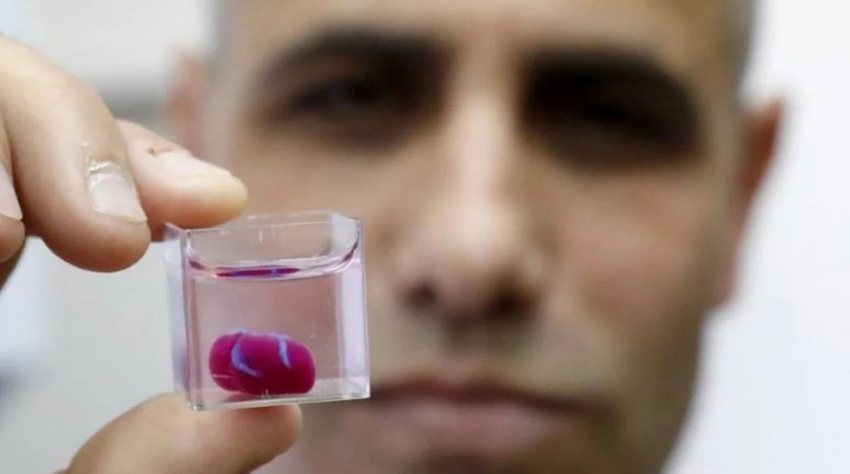 İlk dəfə canlı ürək 3D printerində çap olunub