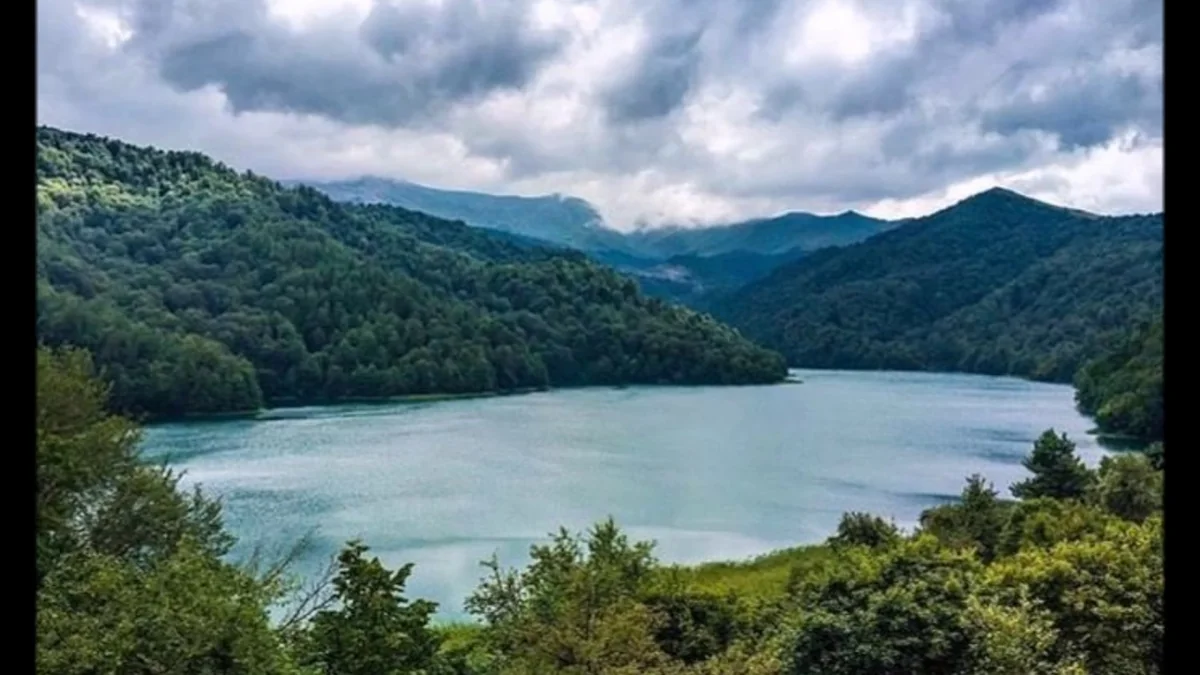 Milli parklarda açıq dərslər təşkil olunacaq