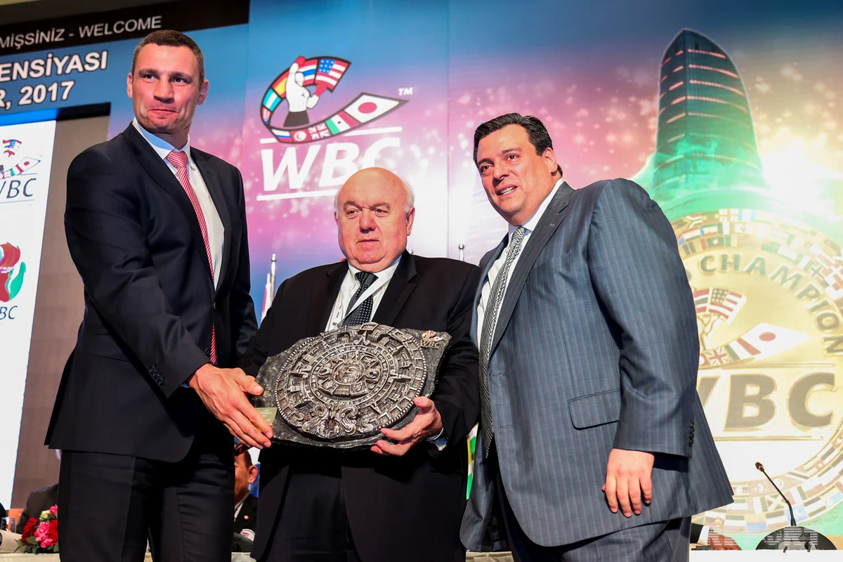 Peşəkar boksda videotəkrardan istifadə ediləcək