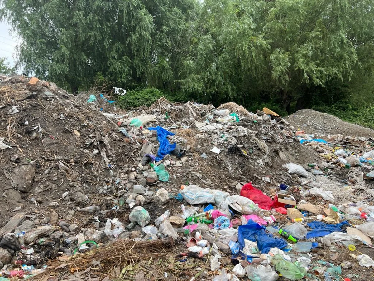 Bərdədə ətraf mühitin çirkləndirilməsi ilə bağlı 15 nəfər cərimələnib