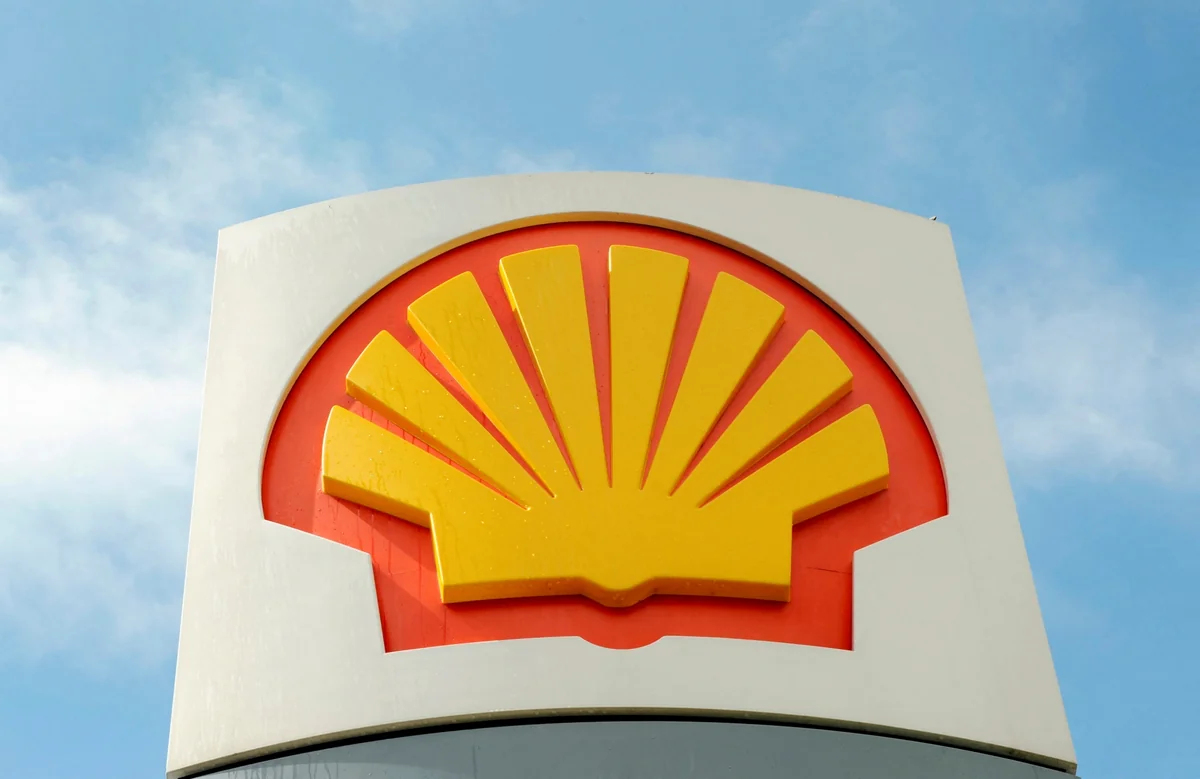 South African appeal court throws lifeline to Shell's Wild Coast exploration