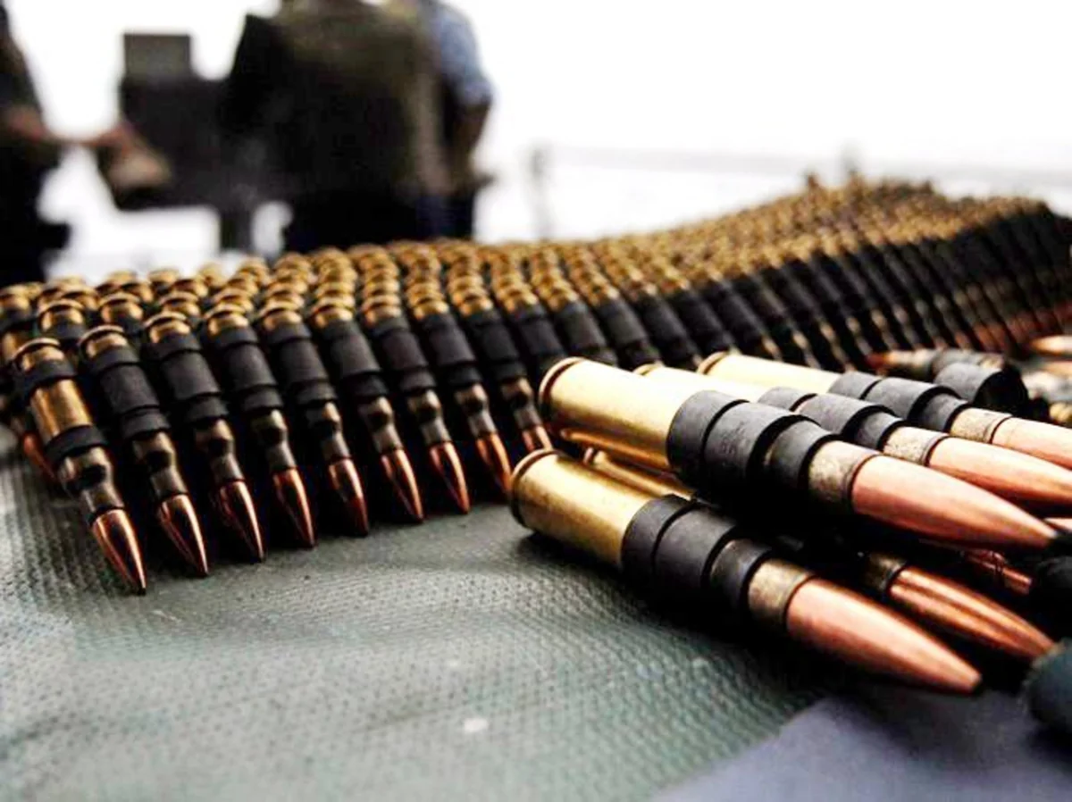 Goranboyda xeyli sayda silah-sursat tapılıb