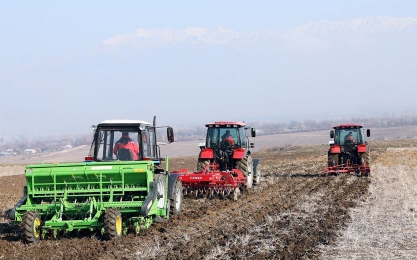 Bu ilin əvvəlindən fermerlər 157 milyon manat subsidiya alıb