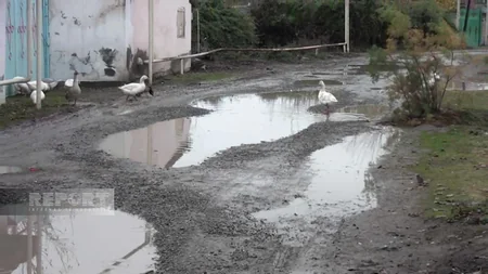 Ucarın Gəraybəyli kəndinin yolları acınacaqlı vəziyyətə düşüb, gediş-gəliş çətinləşib