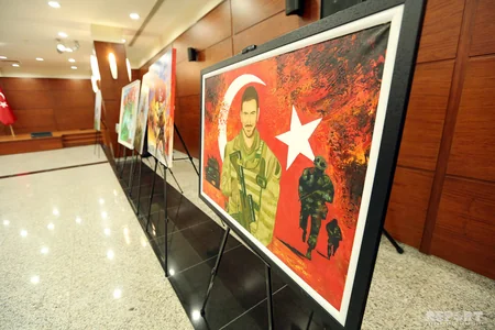 Səfir: 2018-ci il Azərbaycan-Türkiyə münasibətləri baxımından çox vacib il olub