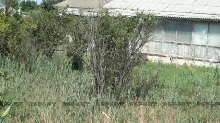 Kür çayında suyun səviyyəsi sürətlə azalır, çətinliklər yaşanır