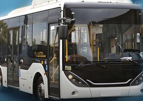 AYNA: “Yay musiqi mövsümü”nün açılışı ilə bağlı ziyarətçilər xüsusi avtobuslarla pulsuz daşınacaq