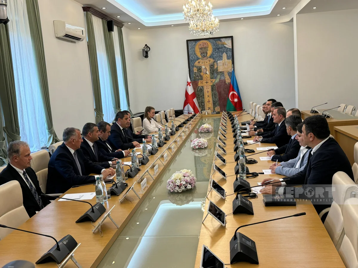 Jeyhun Bayramov, Shalva Papuashvili mull Azerbaijan-Georgia partnership