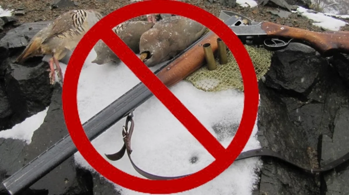 Qanunsuz ov edənlərin hər biri 1000 manat cərimələnib