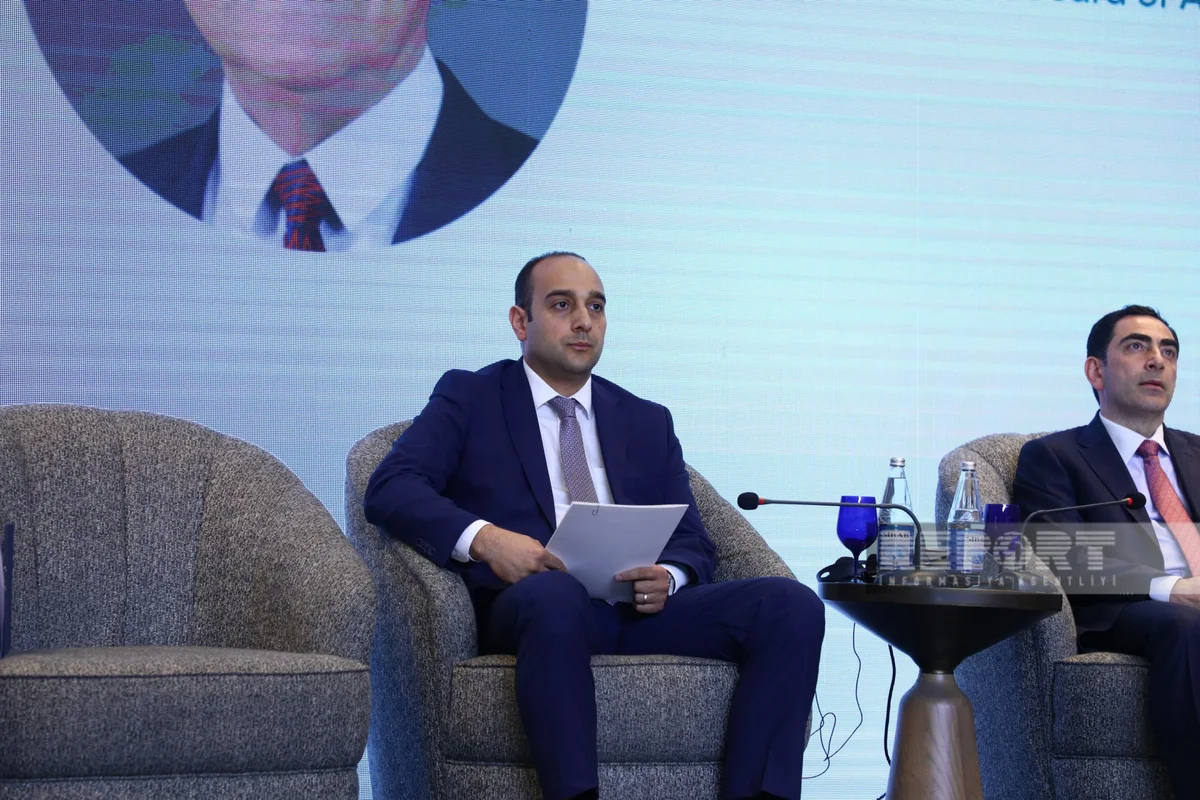 Azerbaijan finances 11 projects in green business