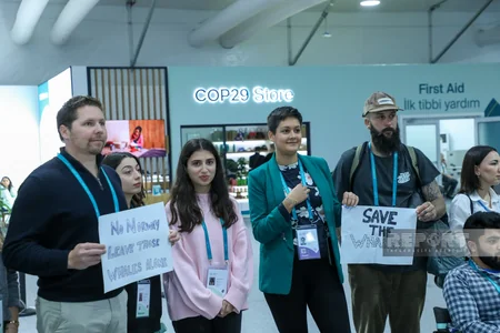 İsveçrə, Kanada və Böyük Britaniya ekofəalları COP29-da balina ovuna qarşı etiraz aksiyası keçirib