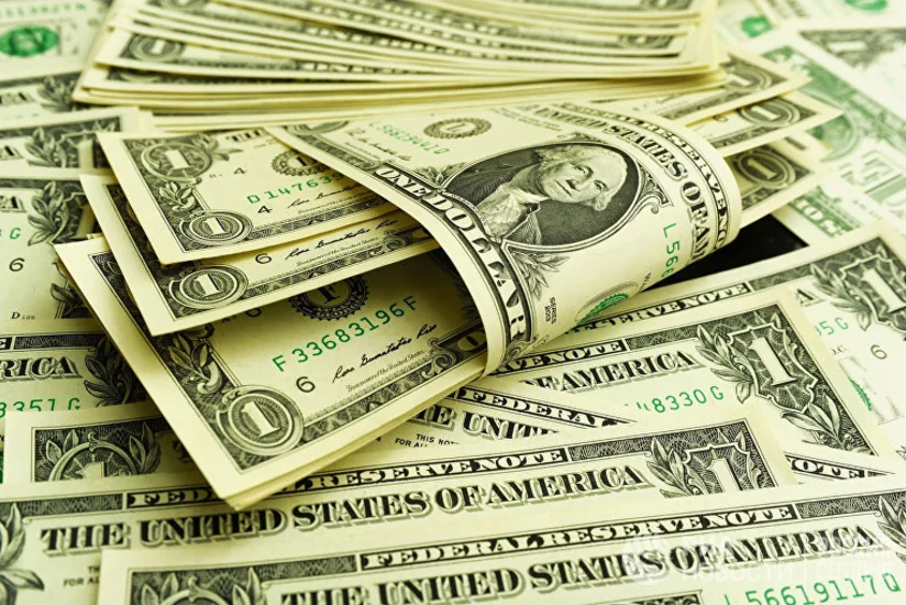 В США одобрили идею раздать гражданам по две тысячи долларов