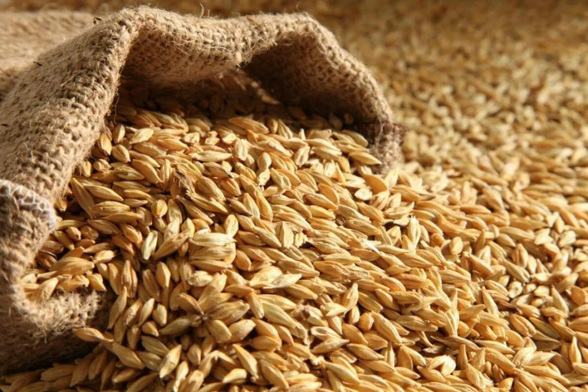 Azerbaijan increases wheat imports by more than 52%