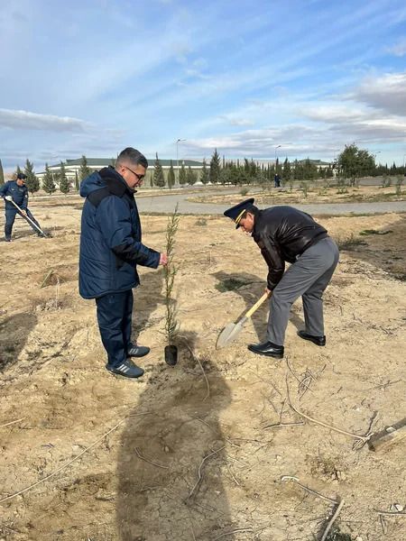 FHN ağacəkmə aksiyası təşkil edib