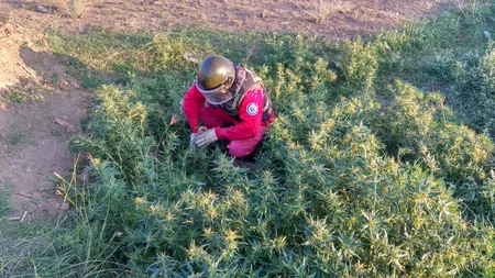 Tovuzda 7 ədəd top mərmisi tapıldı