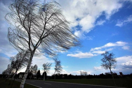 В Азербайджане в выходные ожидается сильный ветер - ПРЕДУПРЕЖДЕНИЕ