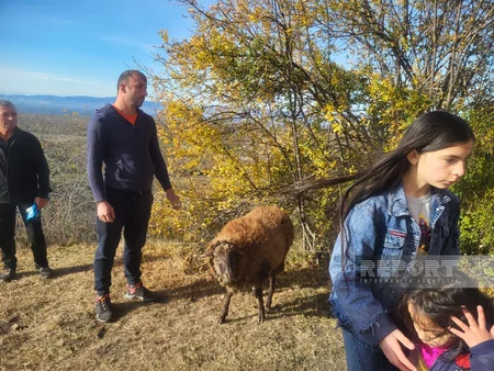 Qaxda Kürmükoba bayramı qeyd edilib