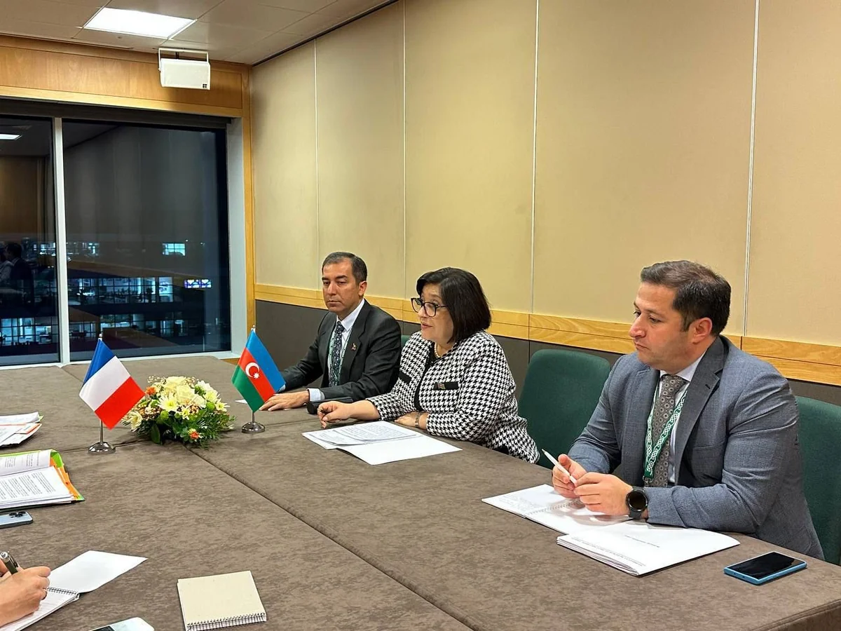 Sahiba Gafarova meets with President of French National Assembly