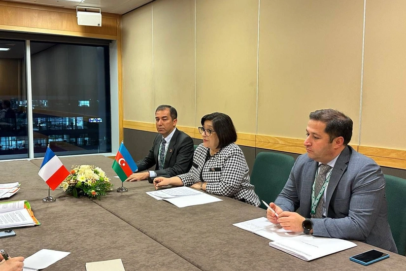Sahiba Gafarova meets with President of French National Assembly